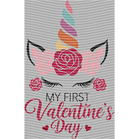 Valentine's Day-QRJ  6909